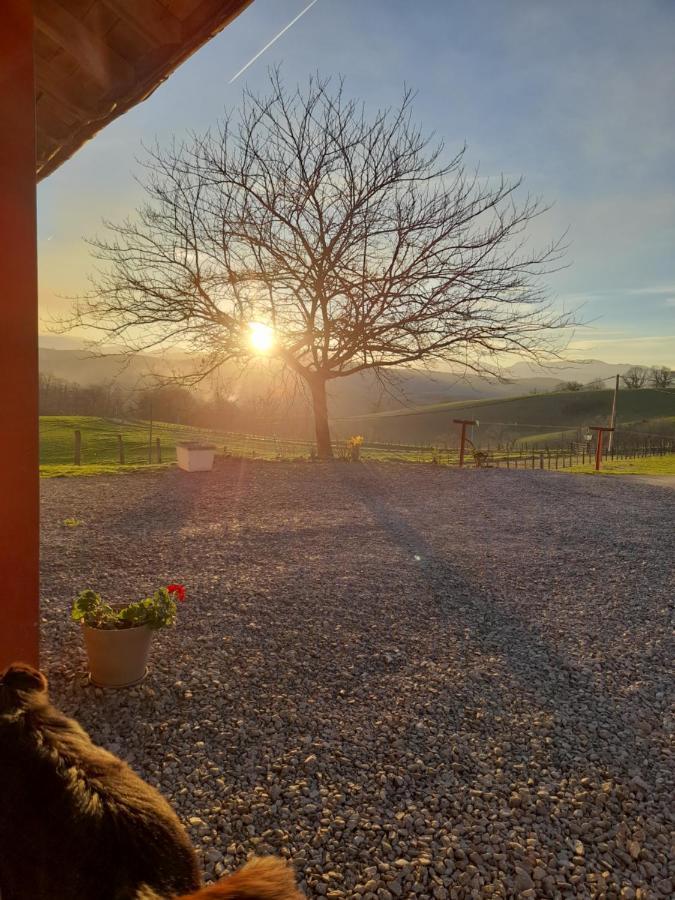 Gite A La Ferme Larranda Suhescun Exterior photo